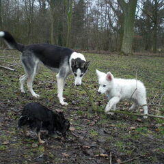 samen spelen..