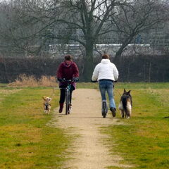 dat was een leuke cursus!