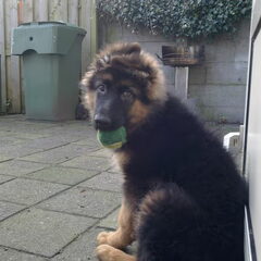Is er iets??