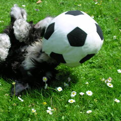 Lorenz 5 maanden oud