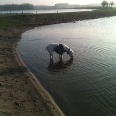 @ surfplas