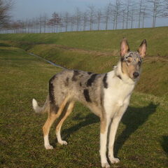 2011-03-02_Blue11M