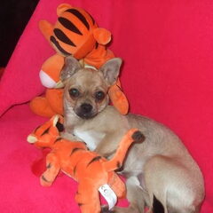 is ze niet schattig?