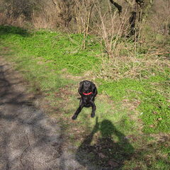 In het park met Link