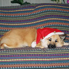 Eerste kerst