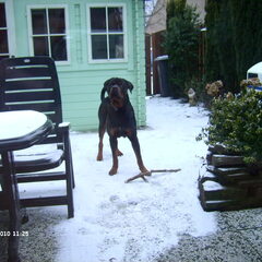 lekker spelen in de sneeuw vind Tibo geweldig