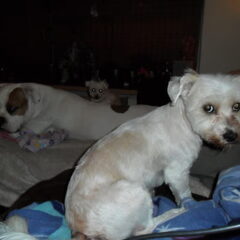 en Ginny ook