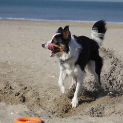 graven......