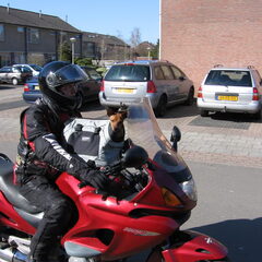 genieten voor baas en hond