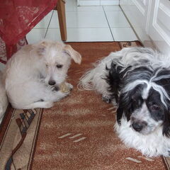 Samen is gezellig