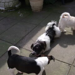 Samen met ma