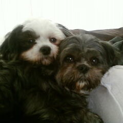 lady en chica