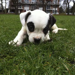 Is ze niet lief!! :)