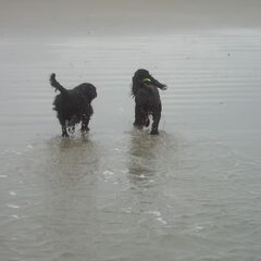 Eerste keer op het strand