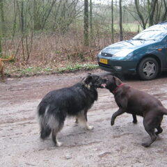 Rossi met haar beste vriendin Yindi