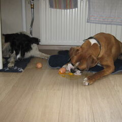 Samen met Lara een ei eten!