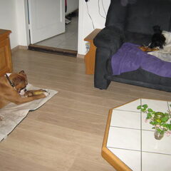 Samen RUSTIG (dat is best een wonder haha) bij ons in de…