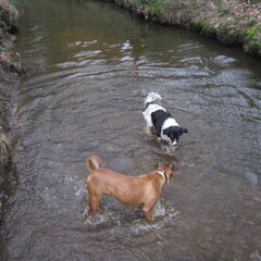 lekker in het water!