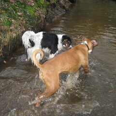 in het water!