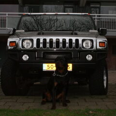 Hummer & Hummer