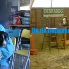 op de puppykeuring