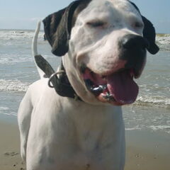 ondeugend!!!!!!!!
