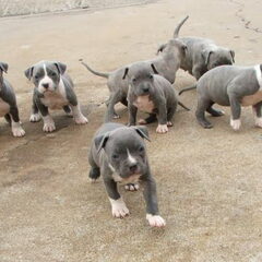 mn broers en zussen