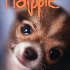 flappie