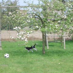 Aan het spelen in mijn vader's tuin