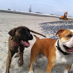 DonJa en Luna @ strand