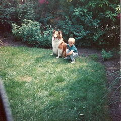 met brenda 1989