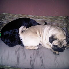 samen slapen op onze bank