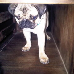en toch blijf ik echt thuis whahahah lol