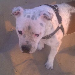 zand gezichtt:)