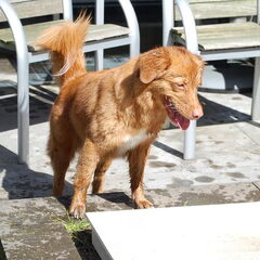 Ik hou van waterrrrrrrrrrrr