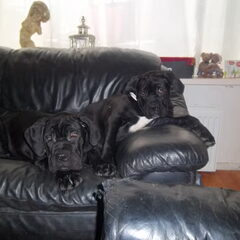 samen met zn zusje