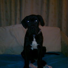 mn fotomodelleke
