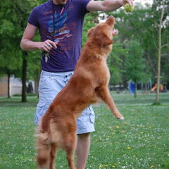 Jump!