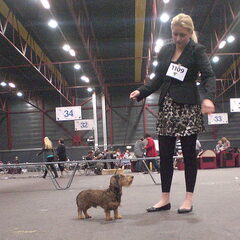 25-4-2011 Best of Breed!