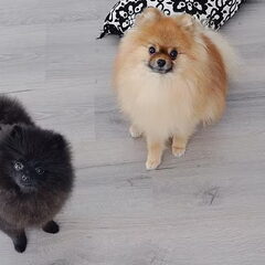 Nina en Kenji!!