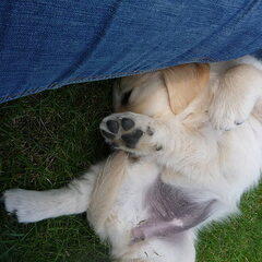 Heerlijk relaxen!!!