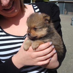 Eerste bezoekje aan mijn lieverd. 4 weken oud