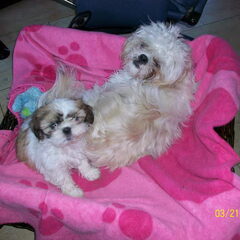Samen slapen