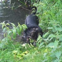 nee niks gevonden
