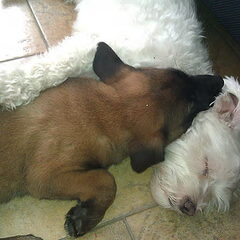 Quitny en Snowy samen slapen