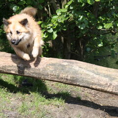 actie!!!