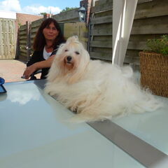 Ely met Toos (fokker)