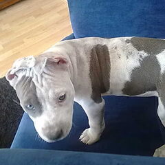 Nicky net wakker