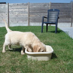 Wat speel ik graag met water als't mooi weer is!