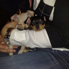 Samen op schoot!